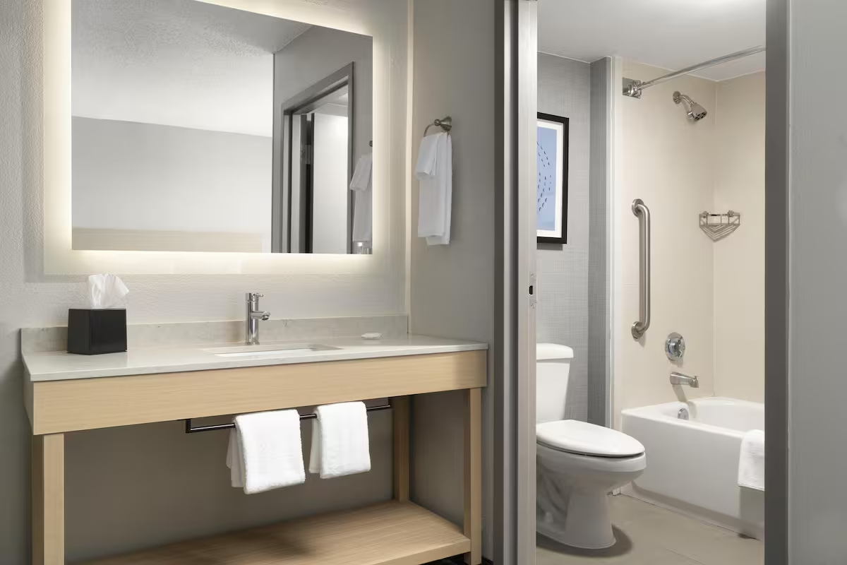 Combinaci&oacute;n de ducha_ba&ntilde;era, art&iacute;culos de tocador de dise&ntilde;o, secador de pelo, toallas.